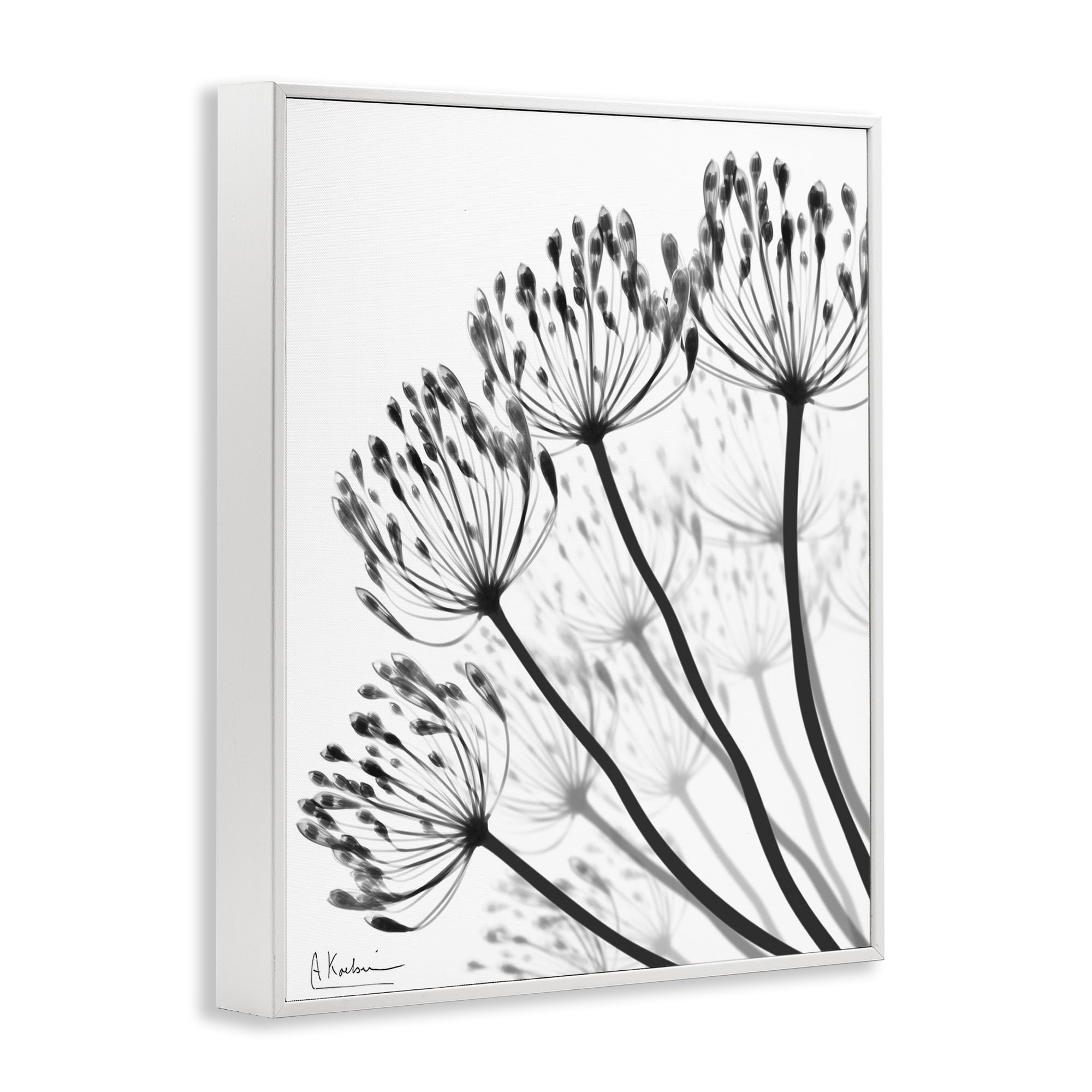 Stupell Industries Floral Fan Dandelions White Framed Giclee Art, design by Albert Koetsier
