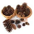 thumbnail image 4 of 1-10 piezas de piñones naturales, frutas secas, flores artificiales, piñas para Navidad, guirnalda de bricolaje, decoración de fiesta de Feliz Navidad, 4 of 5
