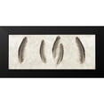 thumbnail image 2 of Blaustein, Alan 18x10 Black Modern Framed Museum Art Print Titled - Feather Panel - 3, 2 of 5