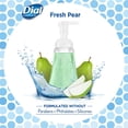 thumbnail image 4 of Dial Complete Foaming Hand Gentle Wash Antibacterial, Fresh Pear, 7.5oz, 4 of 6