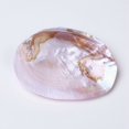 thumbnail image 3 of Natural Freshwater Pearl Shell Decoration 135~170x95~110x30~40mm, 3 of 4