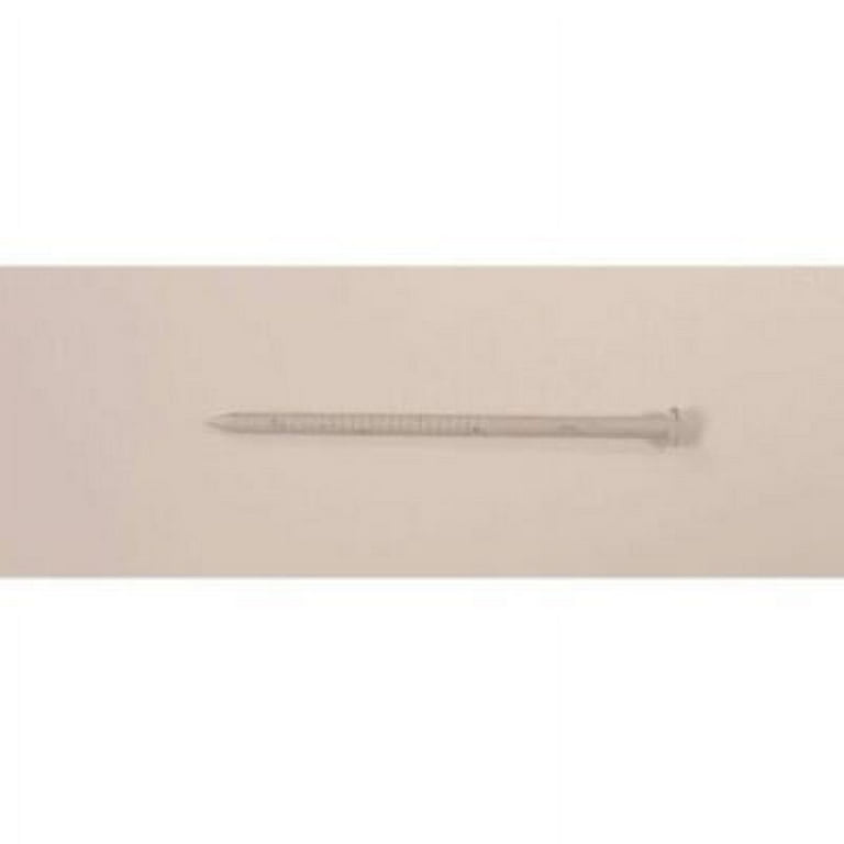 Maze Nails 8D 2-1/2 in. Trim Stainless Steel Nail Flat Head 1 lb Maze Nails 8D 2-1/2 in. Trim Stainless Steel Nail Flat Head 1 lb
