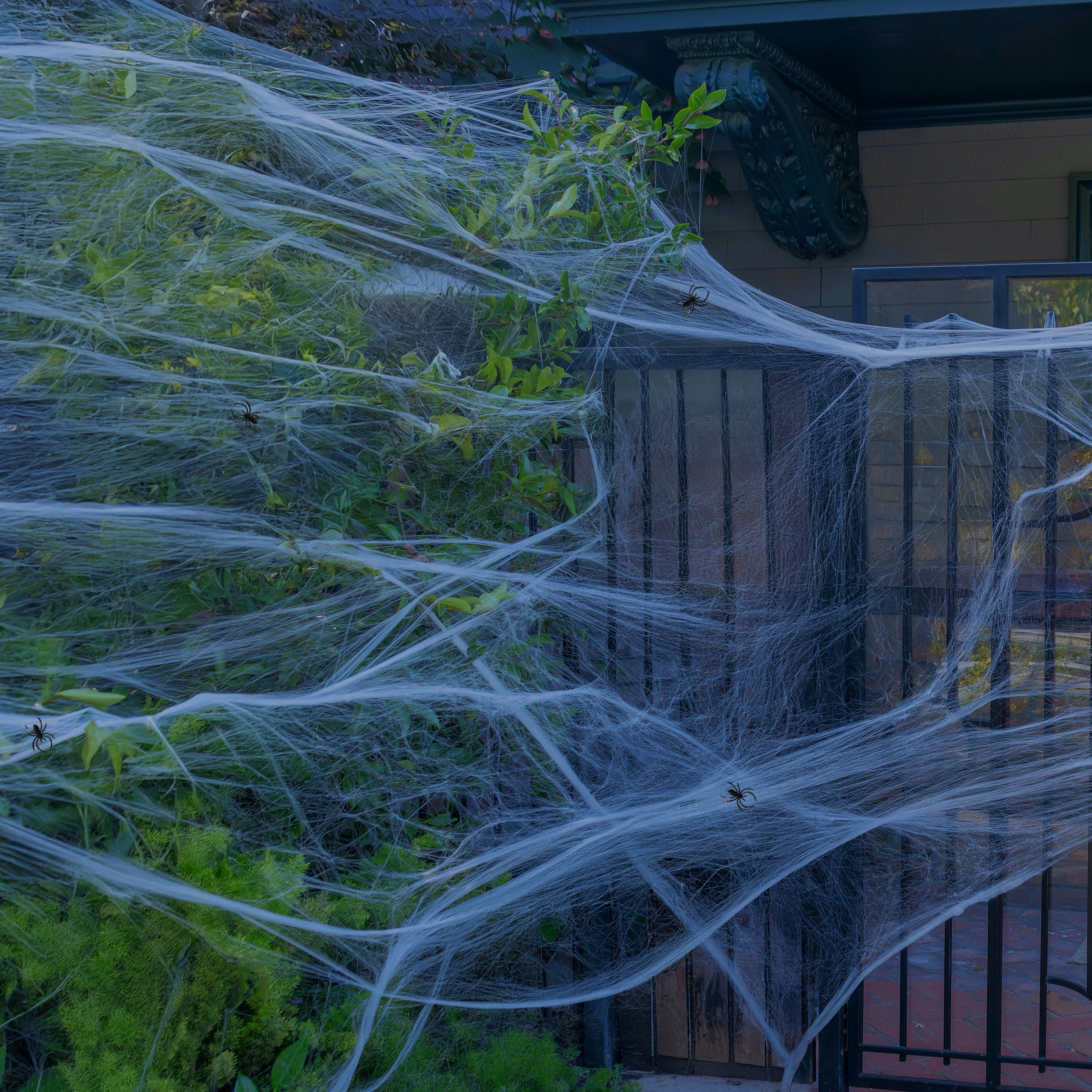 Way to Celebrate 1.5 oz White Spider Web with 6 Black Spiders