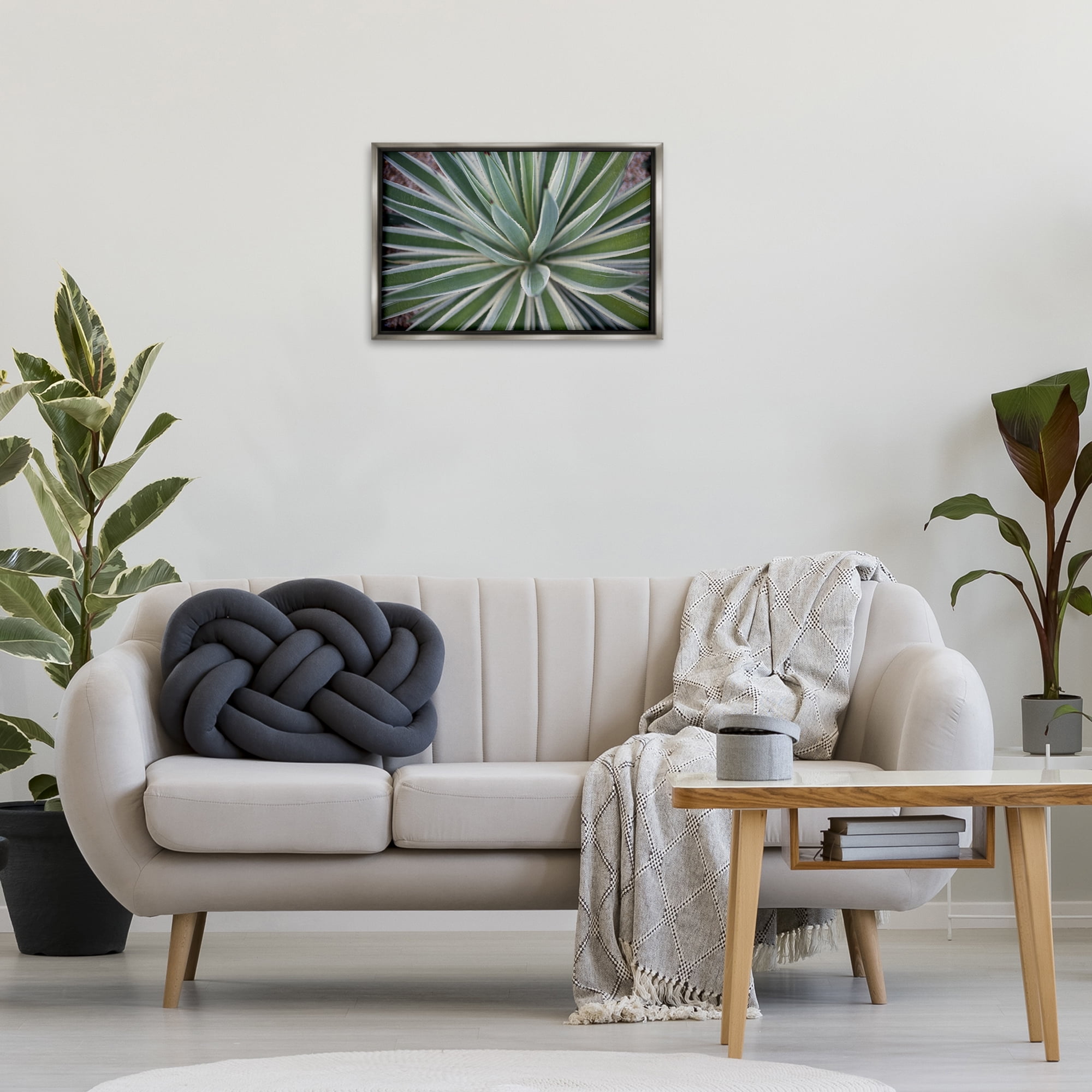Stupell Industries Centric Succulent Leaves Botanical & Floral Photography Gray Floater Framed Canvas Art Print Wall Art, 25 x 17
