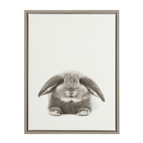 Kate and Laurel Sylvie Rabbit Animal Print Black and White Portrait Framed Canvas Wall Art by Simon Te Tai, 18x24 Gray