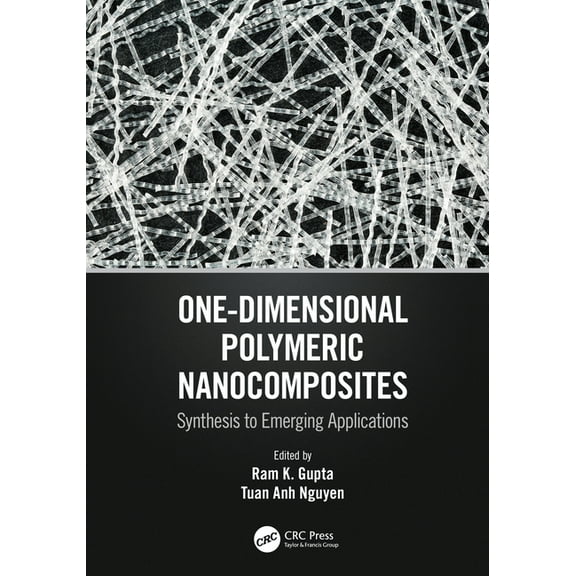 One-Dimensional Polymeric Nanocomposites: Synthesis to Emerging Applications, (Paperback)