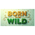 thumbnail image 3 of LUUFILx Born to be Wild Backdrop Banner Party Decorations Jungle Theme Birthday Photo Booth Background Celebration Props Event Supplies Festive Decor, 3 of 8