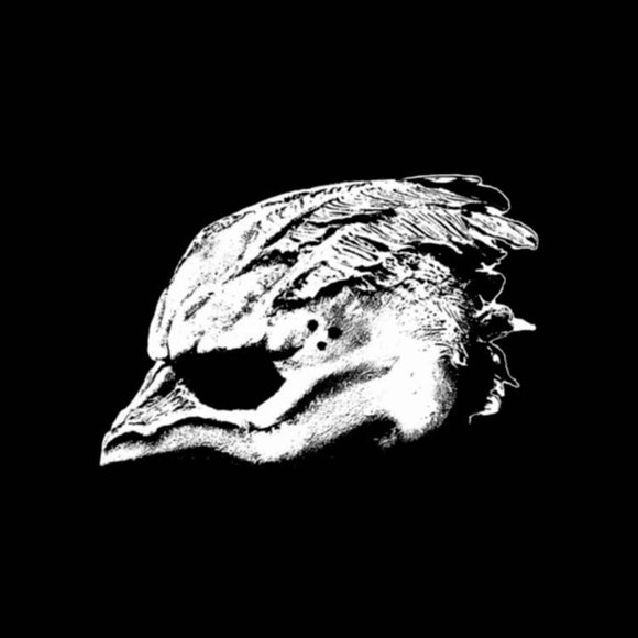 Legend of the Seagullmen - Legend of the Seagullmen (Vinyl LP)