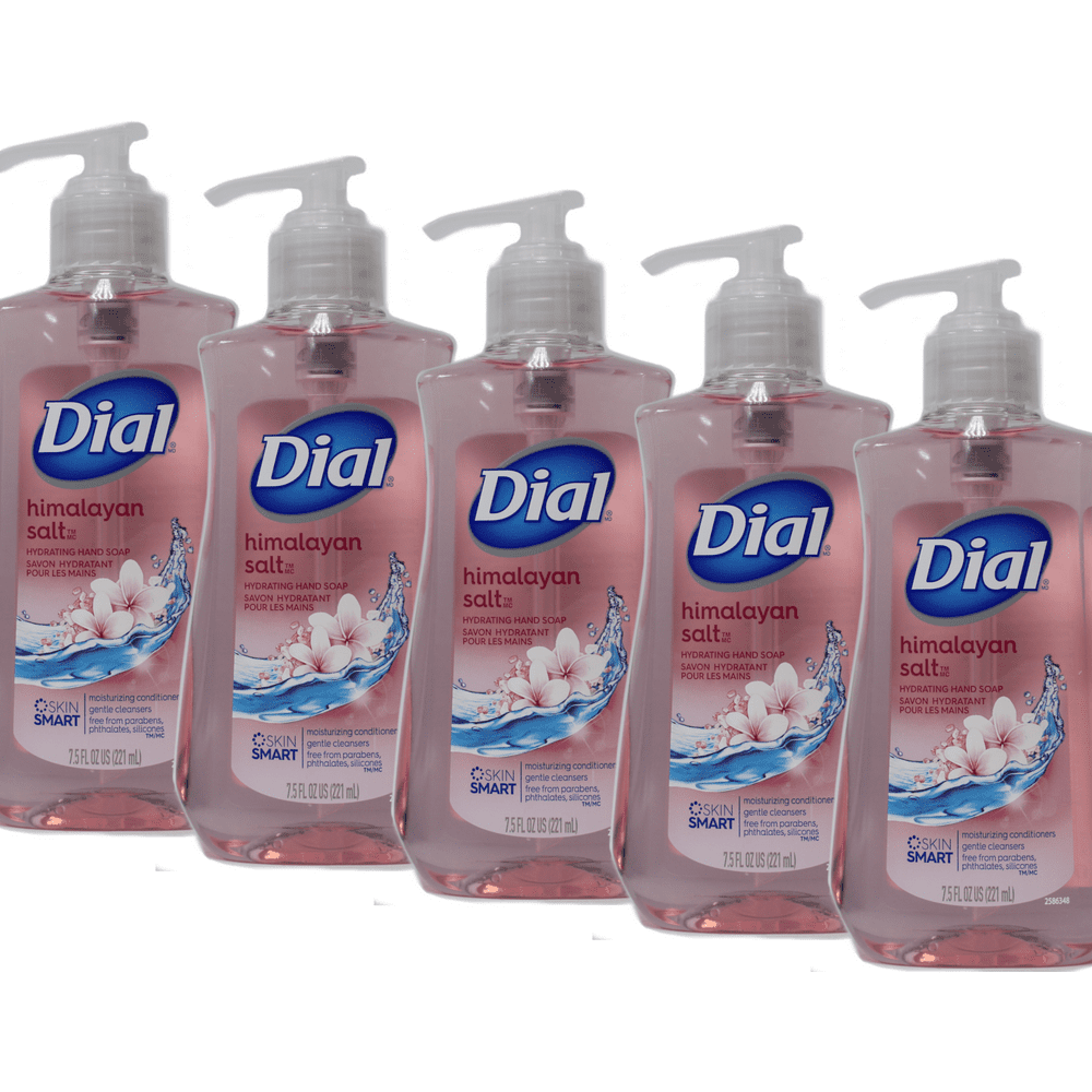Dial Complete Liquid Moisturizing Hand Soap Himalayan Salt 7.5 oz Pack