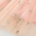 thumbnail image 7 of WhouRiu Toddler Girl's Skirt Feather Embroidery Sequin Ballet Dance Skirt Children Knee-Length Tulle Festive Party Skirts Pink,Sized 2-3, 7 of 7
