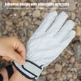 View all media