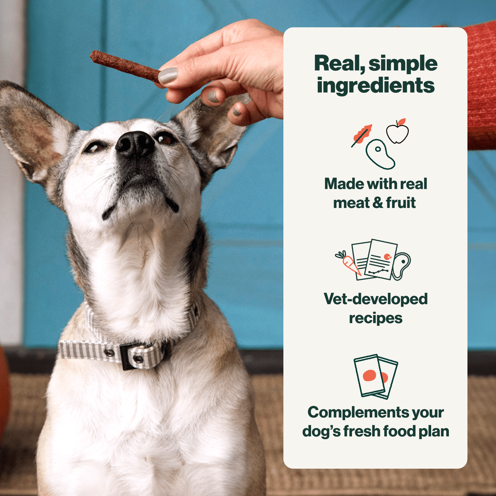 The Farmer's Dog Snap Sticks, All Natural Human Grade Dog Treats, Chicken & Apple 3oz