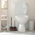 thumbnail image 6 of modern sleek toilet bowl brush and Toilet plunger combo - Bronze, 6 of 7