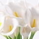 thumbnail image 4 of 10 Uds. Ramos de flores de lirio de PU artificiales de tacto Real, elegantes y realistas, 4 of 5