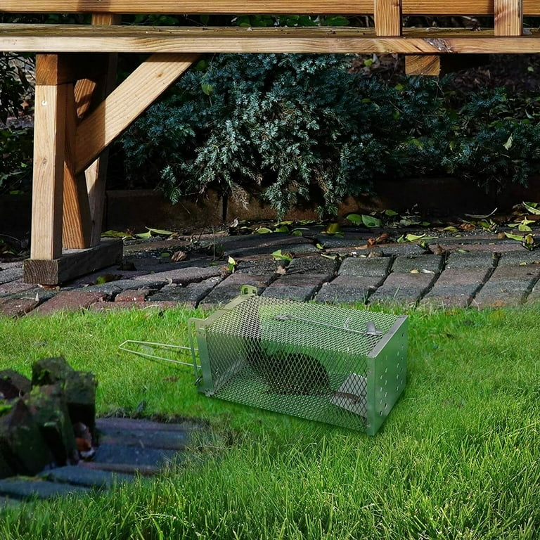 Humane Rat Trap, Chipmunk Rodent Trap That Work for Indoor and Outdoor  Small Animal - Mouse Voles Hamsters Live Cage Catch and Release