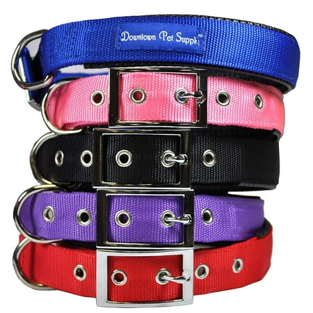 Deluxe Adjustable Thick Comfort Padded Dog Collar by Downtown Pet (Best Dog Collar Light)