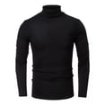 thumbnail image 1 of W Playera Hombre Camisa Casual Cuello Tortuga Manga Larga, 1 of 8