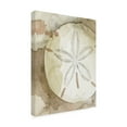thumbnail image 2 of Grace Popp 'Dry Sand Dollar II' Canvas Art, 2 of 4