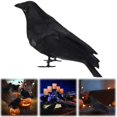 thumbnail image 2 of BNNG Halloween Black Feathered Crows, Realistic Feathered Black Birds Raven, Halloween Decoration for Indoor Outdoor Home Yard Garden Party Decor, 2 of 9
