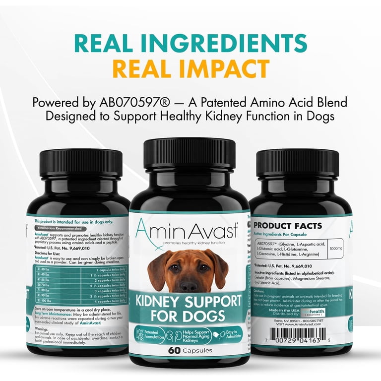AminAvast, Healthy Kidney Support for Dogs, 60 Capsules, 1000mg