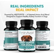 AminAvast Healthy Kidney Function for Dogs, 1000mg, 60 Capsules