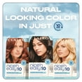 thumbnail image 5 of Clairol Nice'n Easy10 Permanent Hair Color Cream, 6WN Light Chocolate Brown, Hair Dye, 1 Application, 5 of 7