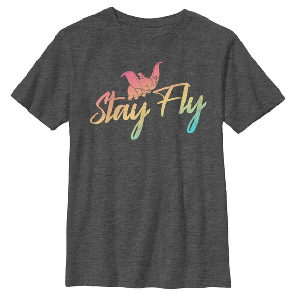 Boy's Dumbo Stay Fly Rainbow  Graphic Tee Charcoal Heather Large