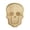 A, variant on Wooden Halloween Serving Tray, Ghost Shape Charcuterie Board For Snacks And Appetizers, Rustic Fall Decorative Platter For Party And Home Display, A (Multicolor, 23.6*17.8*1.5CM)