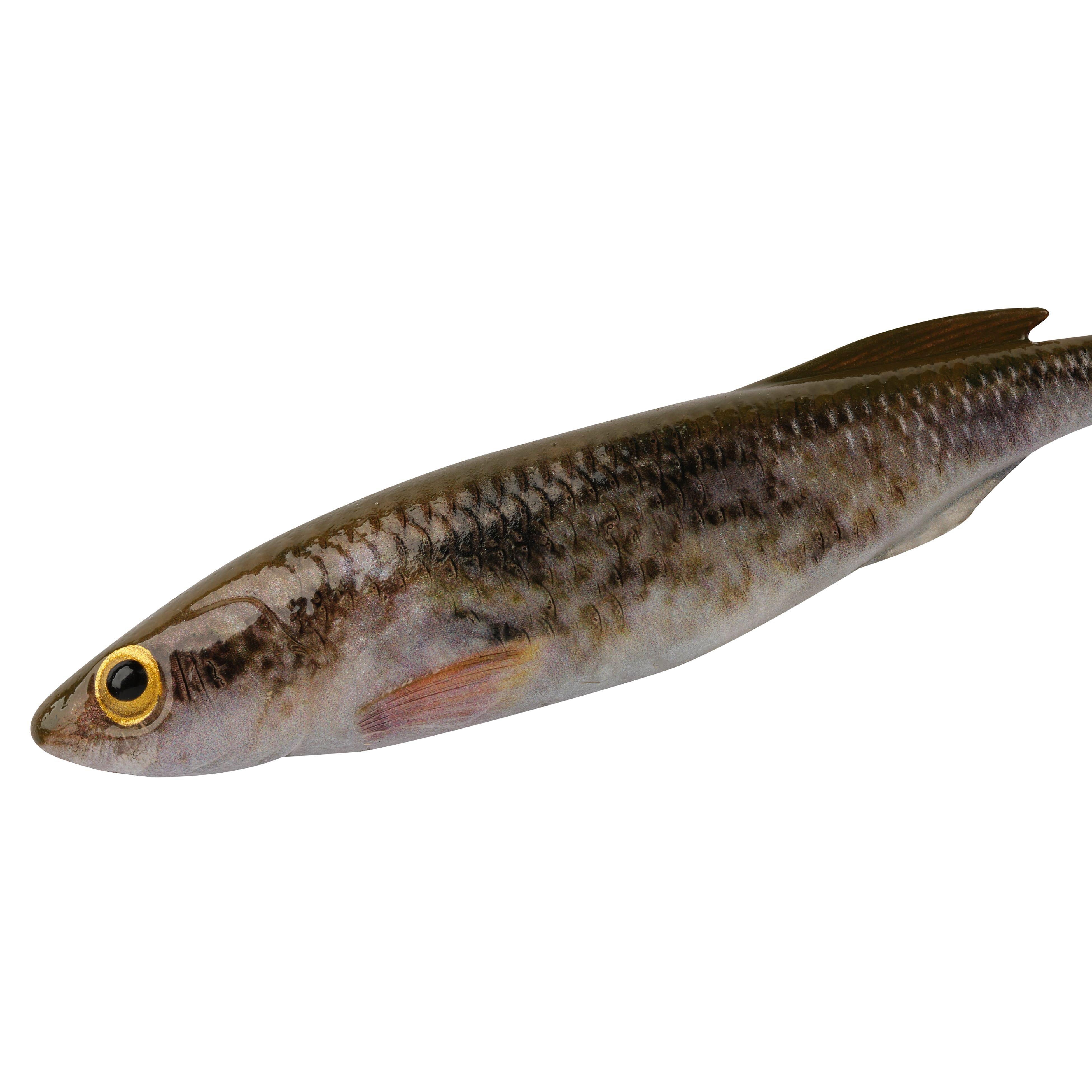 Berkley PowerBait Drip Swimmer 5in Goby