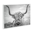 thumbnail image 3 of The Stupell Home Decor Collection Black and White Highland Cow Photograph Oversized Wall Plaque Art, 12.5 x 0.5 x 18.5, 3 of 7