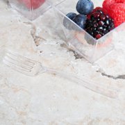 Visions 4 Clear Plastic Tasting Fork - 500/Case