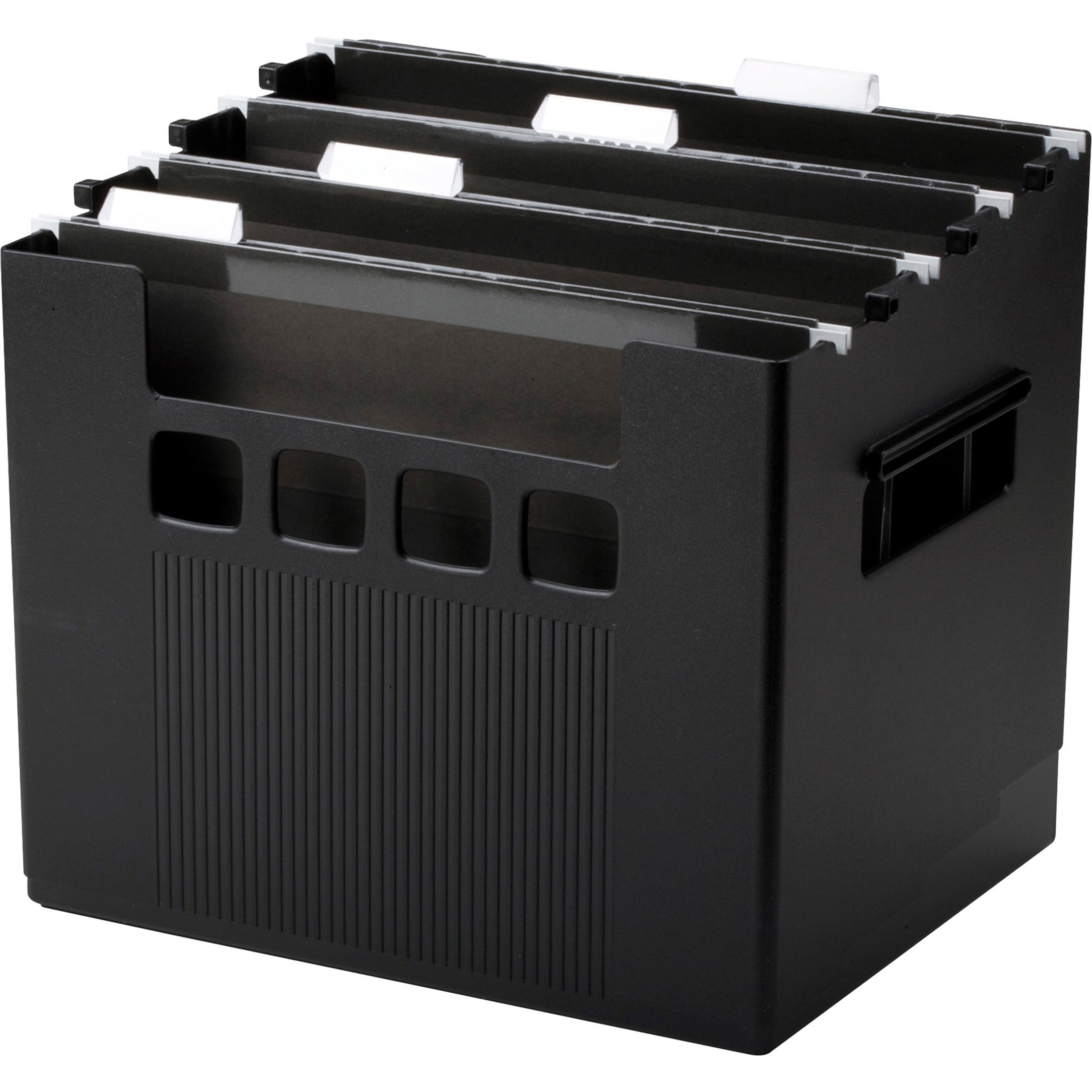 Pendaflex, PFX43013, SuperDecoFlex Desktop Files, 1 Each, Black