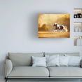 thumbnail image 3 of PHBurchett 'Golden Lit Horse II' Canvas Art, 3 of 3