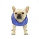 thumbnail image 1 of Xihbxyly Chaleco para Mascotas, Diseño Cálido para El Invierno, Protección Contra El Frío, Suave y Elegante, Ropa para Perros y Gatos, Ideal para Paseos Diarios, Disponible En Talla Pequeña, Material, 1 of 6