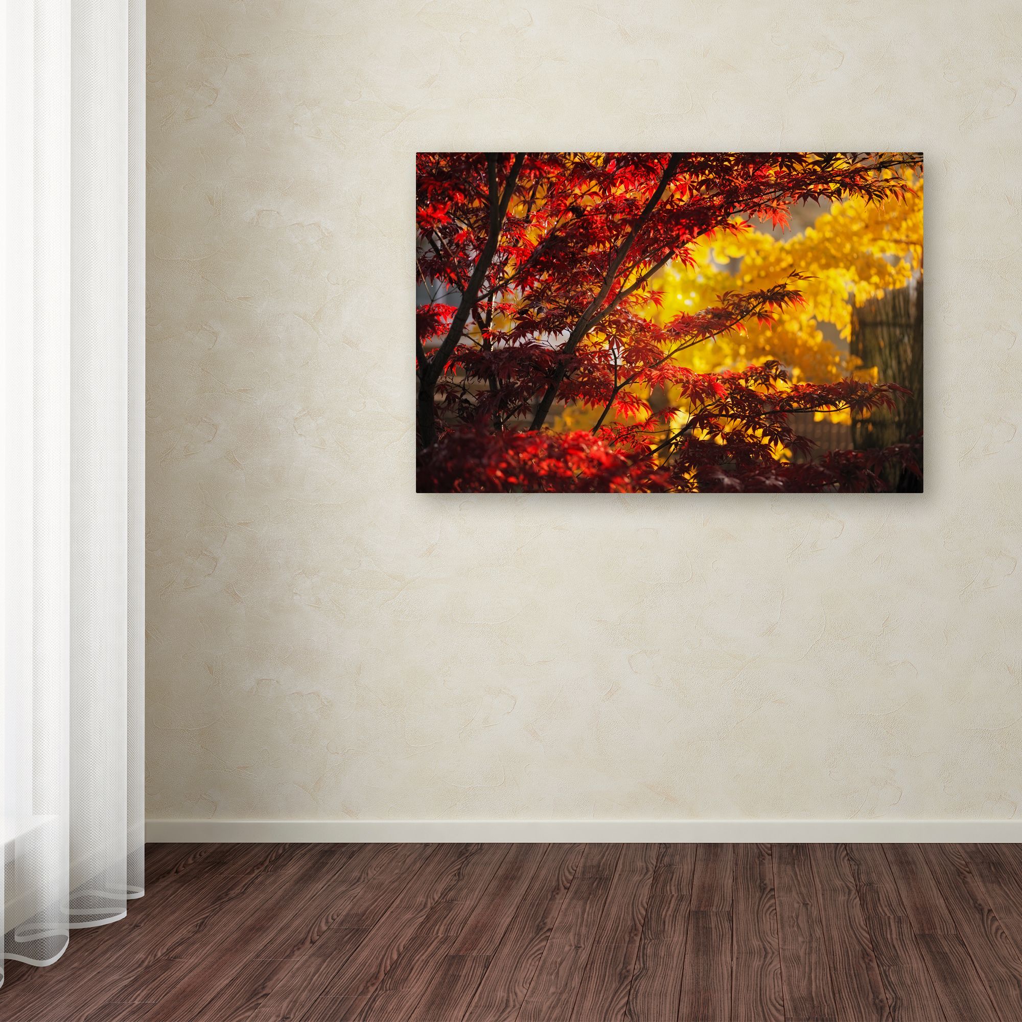 Trademark Fine Art "Transits" Canvas Art by Philippe Sainte-Laudy