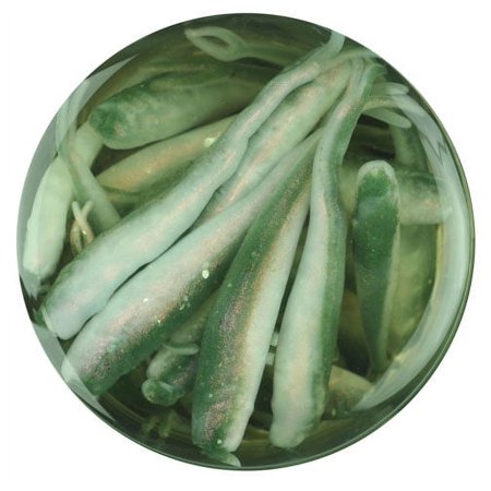 UPC: 0028632259221 | Berkley GulpAlive Minnow 1