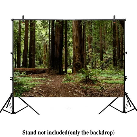 HelloDecor Polyster 7x5ft Nature landscape Forest redwood trees Photography Background Backdrop green woods plants photo Studio Prop