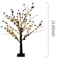 thumbnail image 4 of Árbol de Luz LED FS-SD049 con 24 Luces, Decoración Perfecta para Bodas, Fiestas y Hogar, Ideal para Mesas, Estanterías y Más, Altura de 55cm, Creando un Ambiente Romántico y Tranquilo., 4 of 6