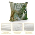 thumbnail image 4 of Orinice Peacock Feathers Graphic Decorative Cushion Throw Pillow Cover for Home, Living Room, Bed Sofa - Aesthetic Spring Decor 1PC 20x20in, 4 of 5