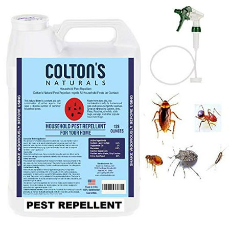 Home Pest Repellent Spray – Natural Pest Control – Useful Against House Roach, Spiders, Ants, Fleas – Fast Acting Pest Control Spray (1
