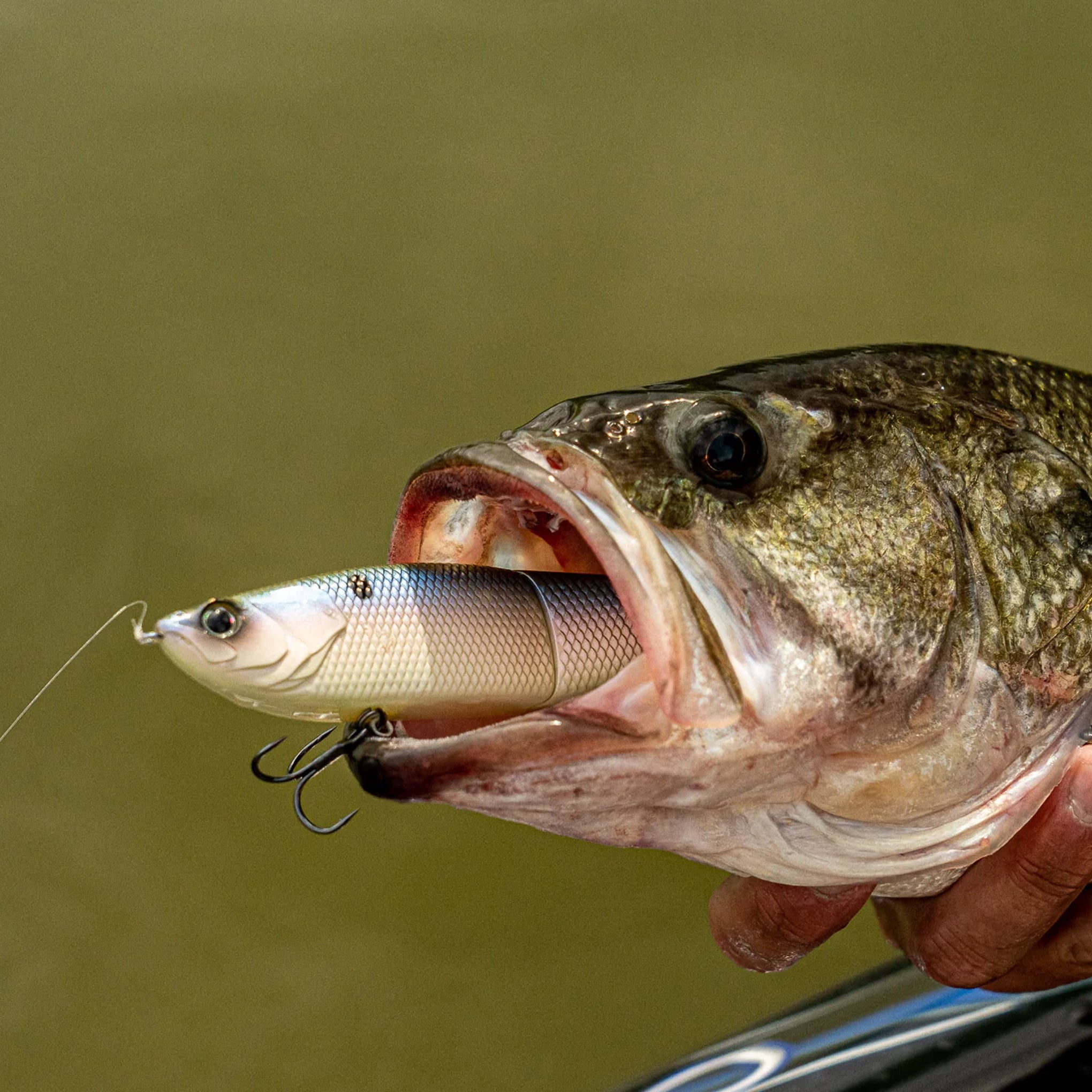 6th Sense – The Draw – Glide Bait – Bass Fishing – Designed with Pro Angler Ben Milliken