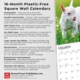 thumbnail image 6 of Baby Goats | 2026 12x24" (Hanging) Square Wall Calendar | Plastic-Free, 6 of 9
