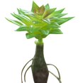 thumbnail image 1 of Coofit Mini Artificial Succulent DIY - Faux Succulent Plant Plastic Greenery Decoration, 1 of 3