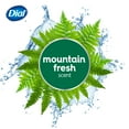 thumbnail image 2 of Dial Antibacterial Bar Soap, Refresh & Renew, Mountain Fresh, 4 oz, 4 Bars, 2 of 12