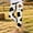 Multicolor, variant on LvhaoGJOB Leggings for Girls' Stylish Design Easy Care yoga pants active leggings stretch pants yoga class leggings