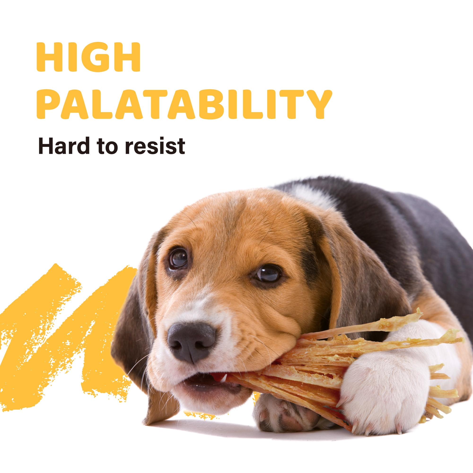 iPaw Turkey Tendon for Dogs, Hypoallergenic, All Natural Human Grade Puppy Chew, Dog Treats for Signature Series, Rawhide Alternative, 10 Units/Box  Strips (Large)