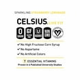 thumbnail image 4 of CELSIUS Sparkling Strawberry Lemonade Energy Drink Can 12 fl oz, 4 of 4