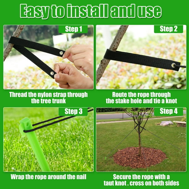 Kit De 3 Piquets Arbre 40cm - Support Redressement Arbres Inclinés