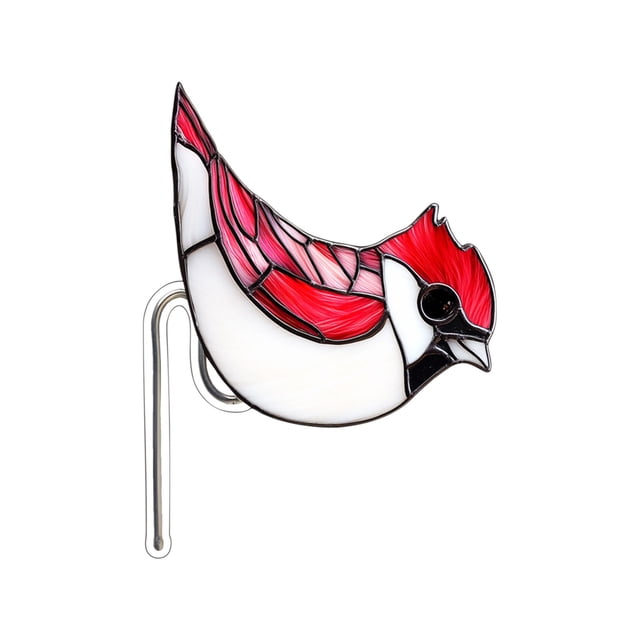 Fwttom Decontaminating Agent, Acrylic Potted Insert Planter Decoration