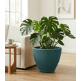 thumbnail image 3 of Ecobo 16.9 inches tall Eco-Friendly Round Pot Planter,Garoa Indoor/Outdoor use,Durable,Versatile&Lightweight,Designed by Brazilian Artisans,Contemporary AllWeather Design-Green, 3 of 5